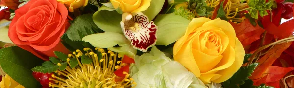 Close-up of a colorful floral arrangement with red and yellow roses, an orchid, and a pincushion protea.