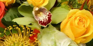 Close-up of a colorful floral arrangement with red and yellow roses, an orchid, and a pincushion protea.