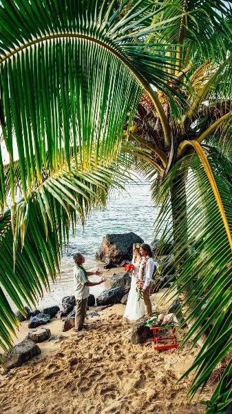 A couple exchanging vows on a sandy beach under palm trees during a wedding ceremony.