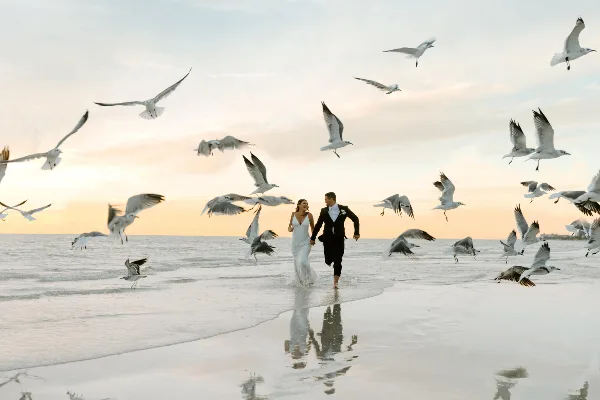 A bride and groom running hand-in-hand along a wet sandy beach at sunset, surrounded by a flock of flying seagulls.