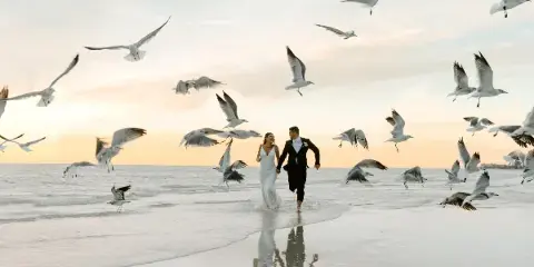 A bride and groom running hand-in-hand along a wet sandy beach at sunset, surrounded by a flock of flying seagulls.