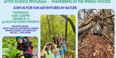 Collage of children hiking, using binoculars, and exploring a forest preserve trail.