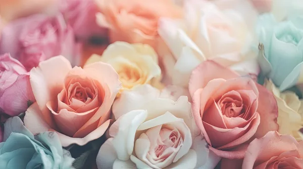 Close-up of a floral arrangement with pastel pink, peach, white, and blue roses.