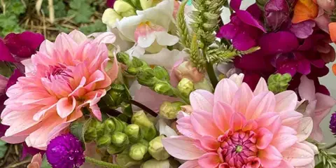 A close-up of a colorful bouquet featuring pink dahlias, purple scabiosa, and white lisianthus.