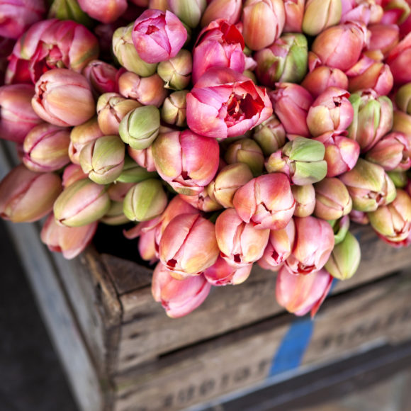 A wooden crate filled with fresh pink and white tulips.