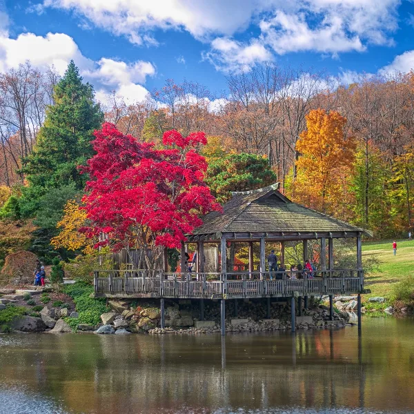 A wooden gazebo situated on a pond surrounded by vibrant red and orange autumn trees under a blue sky.