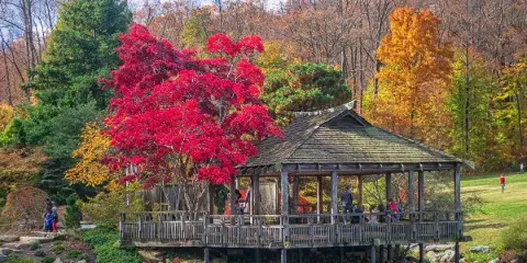 A wooden gazebo situated on a pond surrounded by vibrant red and orange autumn trees under a blue sky.