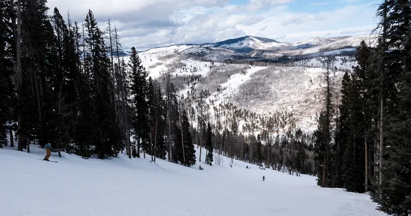 A wide view of a snow-covered ski slope with evergreen trees and a mountain lodge in the distance.