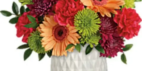 A vibrant floral arrangement featuring orange gerbera daisies, red and purple chrysanthemums, and green button mums in a white textured vase.