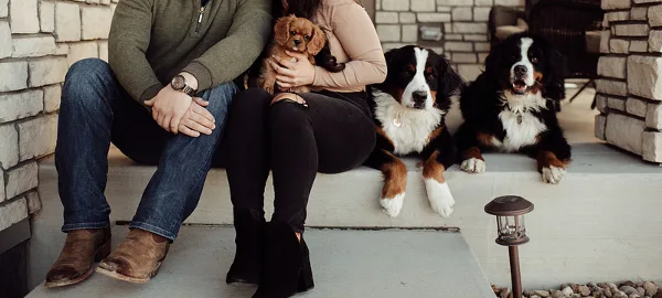 A couple sitting on a porch with three dogs, including a small puppy held by the woman.