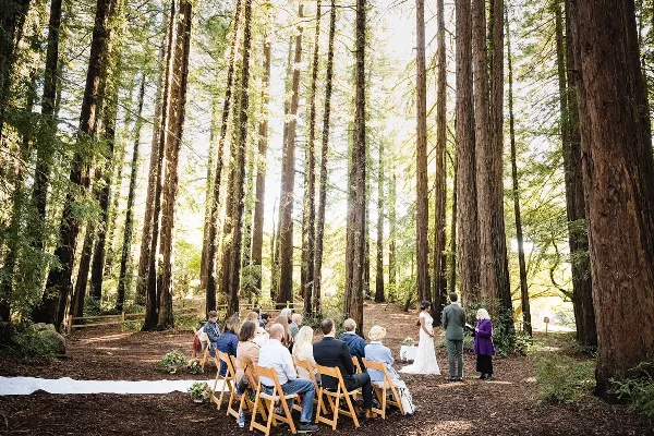 An intimate wedding ceremony taking place in a redwood forest with a small group of seated guests.