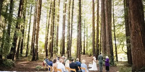 An intimate wedding ceremony taking place in a redwood forest with a small group of seated guests.