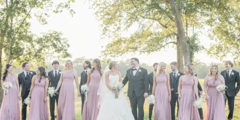 A wedding party consisting of a bride, groom, and attendants posing outdoors on a grassy field.