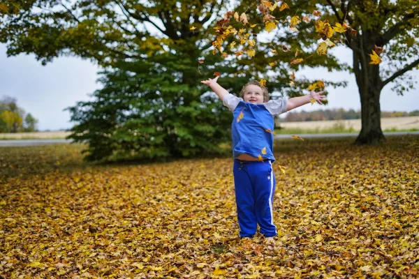 A young child in a blue shirt and pants stands in a field of autumn leaves with arms outstretched, tossing leaves into the air.