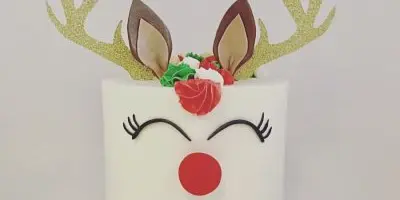 A white specialty cake decorated with fondant to resemble Rudolph the Reindeer, featuring gold antlers, a red nose, and a red collar.