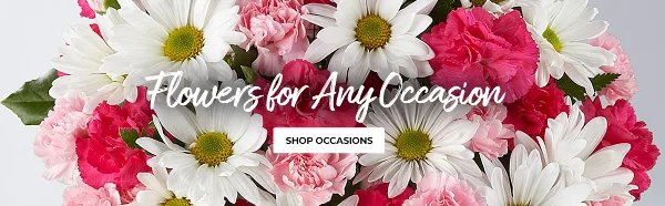A close-up photograph of a floral arrangement containing white daisies and pink and red carnations, overlaid with the text 'Flowers for Any Occasion'.
