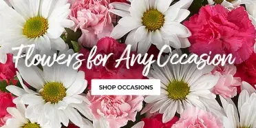 A close-up photograph of a floral arrangement containing white daisies and pink and red carnations, overlaid with the text 'Flowers for Any Occasion'.
