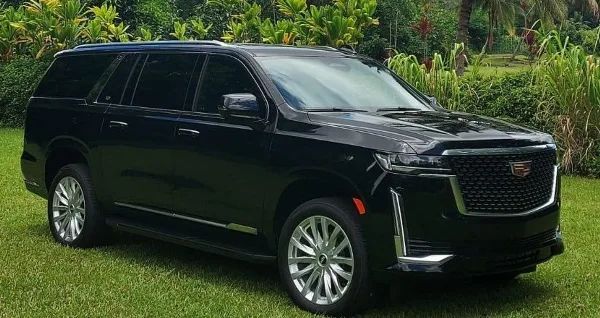 Black Cadillac Escalade SUV parked on grass in a sunny outdoor setting.