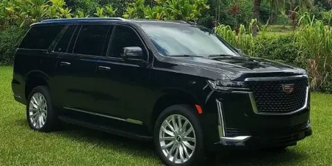 Black Cadillac Escalade SUV parked on grass in a sunny outdoor setting.