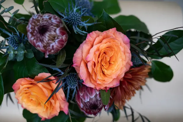 A close-up photograph of a floral arrangement featuring orange roses, maroon proteas, and blue thistles.