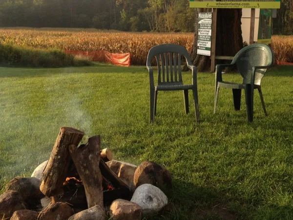 A campfire pit with logs and chairs on a grassy lawn, with a corn field and a maze rules sign in the background.