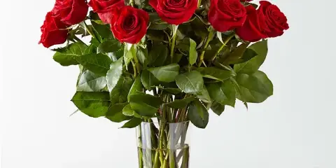 A bouquet of long-stem red roses arranged in a clear glass vase.