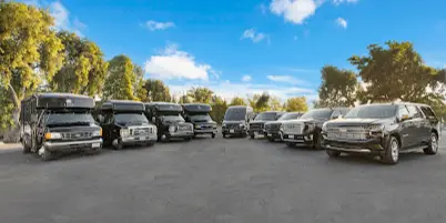 A lineup of luxury SUVs and party buses parked in a lot under a blue sky.