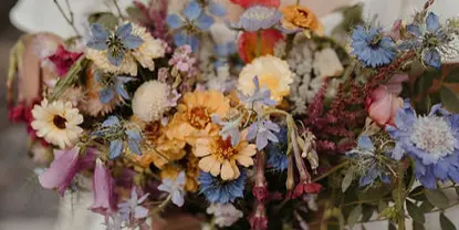 A person in a white dress holding a vibrant, mixed bouquet of seasonal flowers including roses, cosmos, and blue cornflowers.