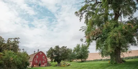 A red historic barn with white trim sits on a manicured green lawn with trees and flower beds under a cloudy sky.