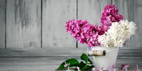 A white bucket filled with pink and white lilac flowers on a rustic wooden table.