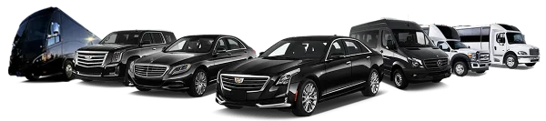 A lineup of luxury vehicles including black sedans, SUVs, and charter buses.