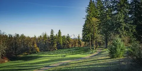 A wide shot of a golf course fairway with green grass, a paved path, and tall evergreen trees under a blue sky with a mountain in the distance.
