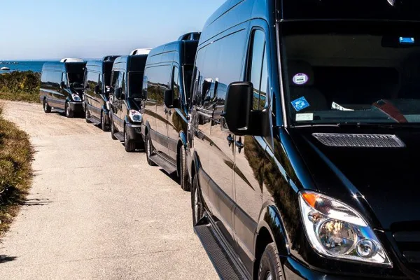 A line of black passenger vans parked in a row outdoors.