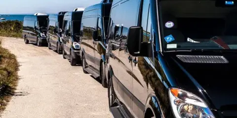 A line of black passenger vans parked in a row outdoors.