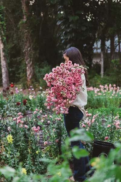 A person holding a large bouquet of pink lisianthus flowers in a flower farm field.