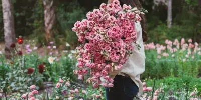 A person holding a large bouquet of pink lisianthus flowers in a flower farm field.