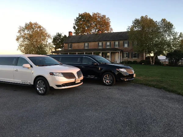 A white and a black stretch limousine parked in a driveway in front of a brick house.