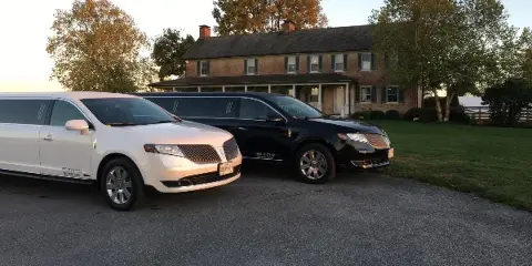 A white and a black stretch limousine parked in a driveway in front of a brick house.