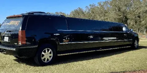 A black stretch limousine parked on a grassy lawn with the company name and phone number visible on the rear window.
