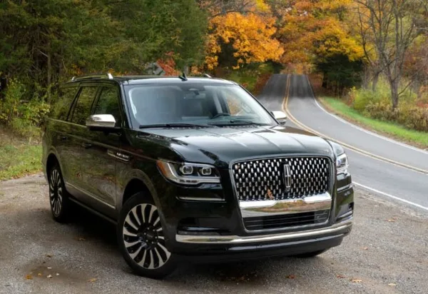 Luxury limousine by Elegant Luxury Limo