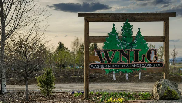 Wooden entrance sign for Wagner Nursery & Landscaping Co. in front of a nursery with young trees and landscaping beds.