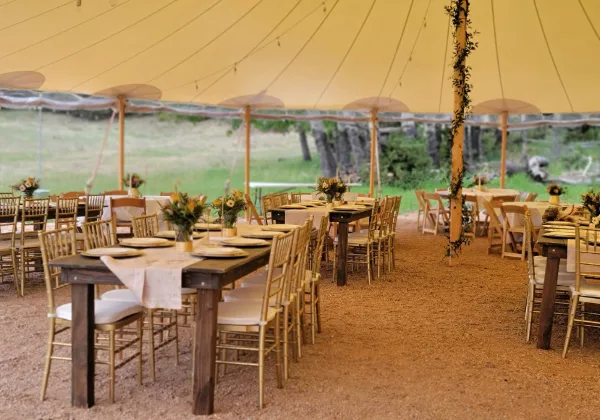 Outdoor wedding reception setup with wooden tables, gold chairs, and floral arrangements under a large tent.