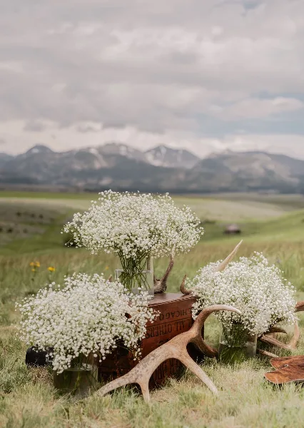 A wedding decoration setup featuring white baby's breath flowers and antlers arranged on a wooden crate in a grassy field with mountains in the background.