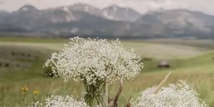 A wedding decoration setup featuring white baby's breath flowers and antlers arranged on a wooden crate in a grassy field with mountains in the background.