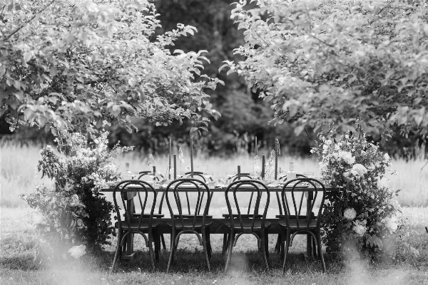 A black and white photograph of a dining table surrounded by bentwood chairs, set up outdoors with floral arrangements.