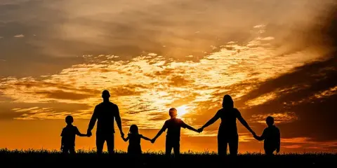 Silhouette of a family of six holding hands in a field against a sunset sky.