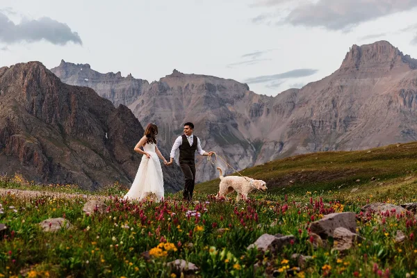 A bride and groom holding hands and walking a dog through a field of wildflowers with rugged mountains in the background.