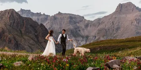 A bride and groom holding hands and walking a dog through a field of wildflowers with rugged mountains in the background.