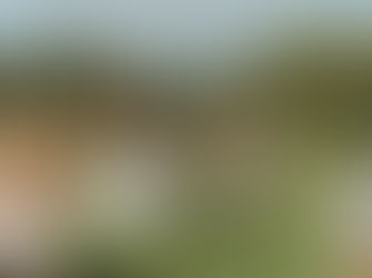 Blurred outdoor view of the venue's garden setting