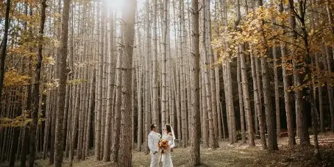 Roxbury Barn and Estate outdoor wedding venue, Roxbury NY